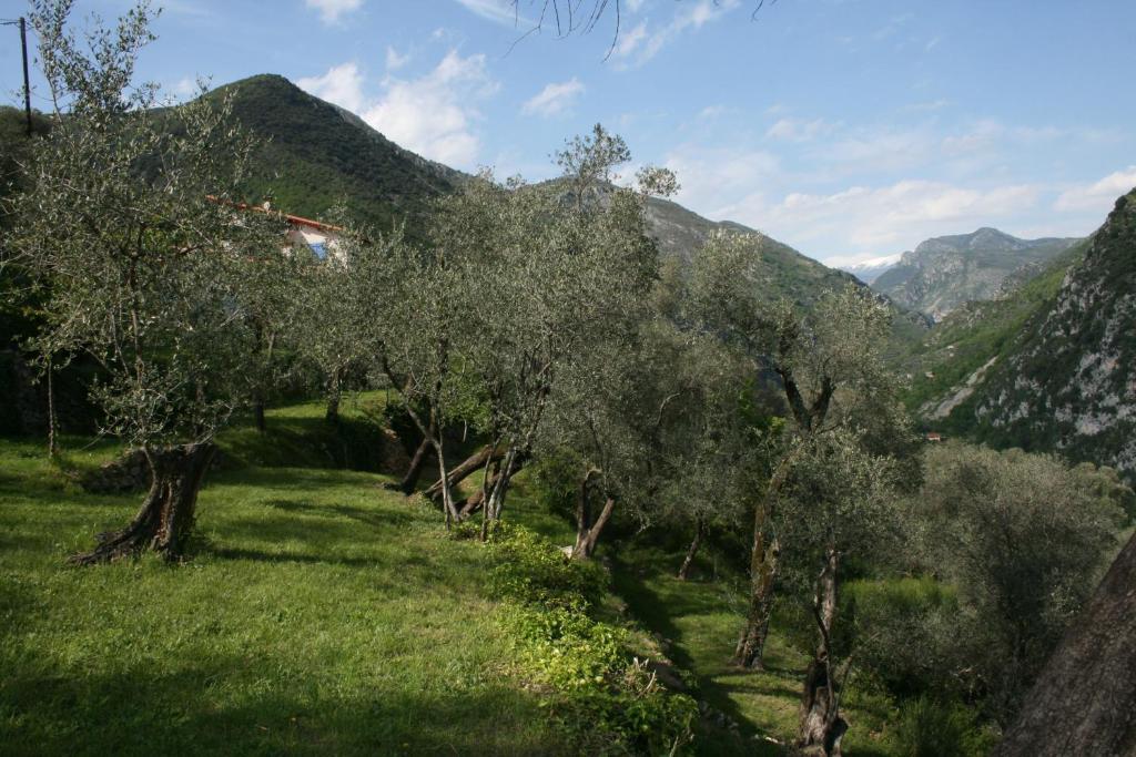Gite Roya Mercantour Breil-sur-Roya Luaran gambar